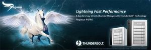 Pegasus雷电DAS阵列柜